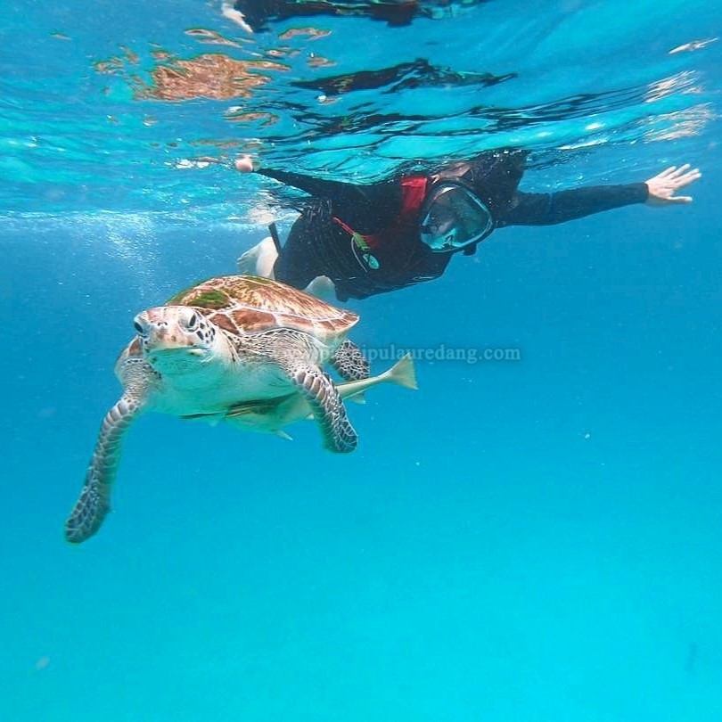 1815595 Pulau Redang Package | Pulau Redang Day Trip