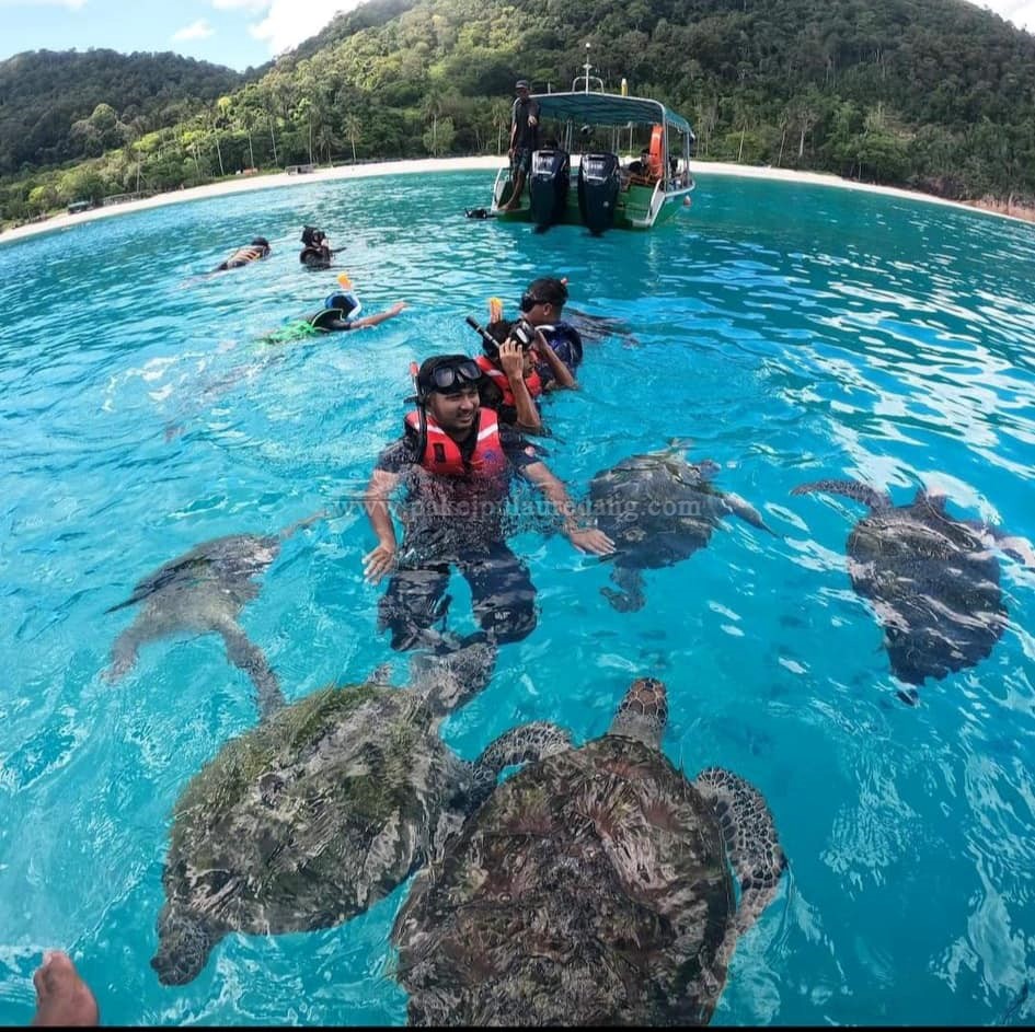 snorkeling penyu redang 4 Pulau Redang Package | Pulau Redang Day Trip